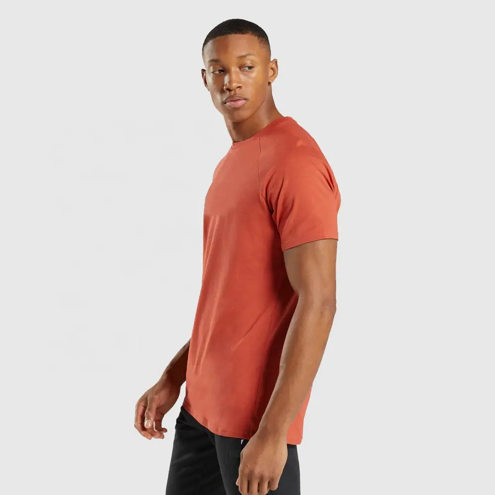 OEM Wholesale 95% Cotton 5% Elastane Men's Slim Fit Tee Shirt Curved Muscle Fitness Men Gym T-shirts - view 2