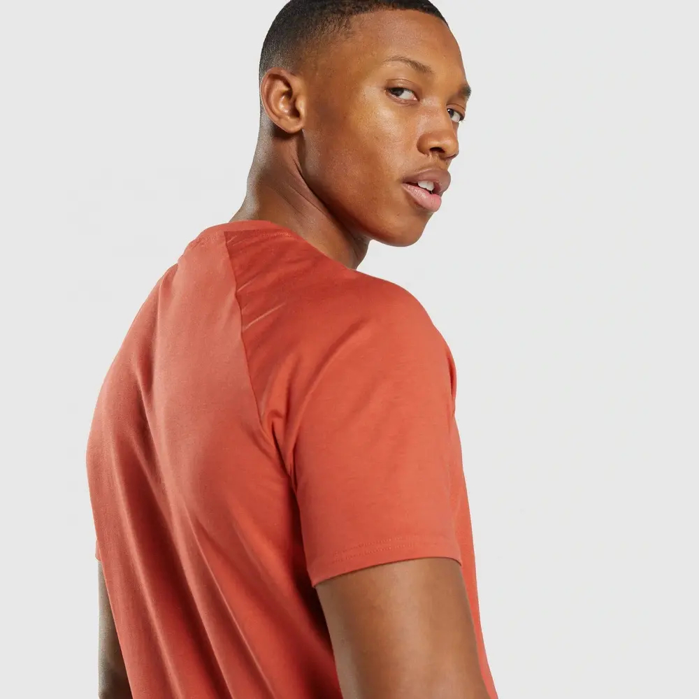 OEM Wholesale 95% Cotton 5% Elastane Men's Slim Fit Tee Shirt Curved Muscle Fitness Men Gym T-shirts - view 4