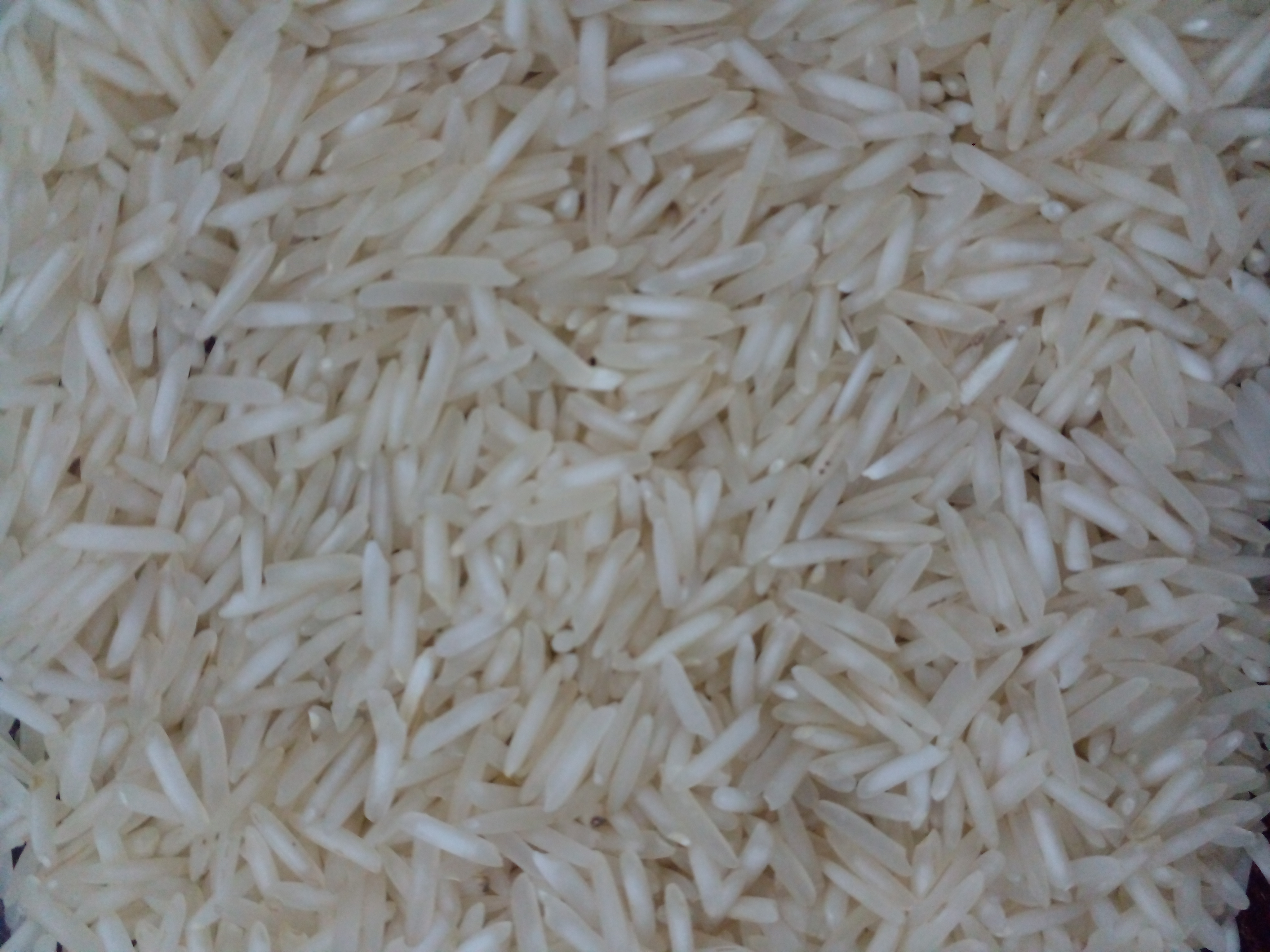 1121 basmati rice steam