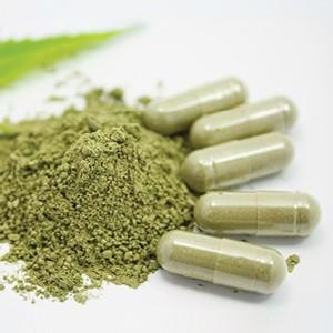 Moringa Pills (500 Count) 100% Pure Pure Organic , Rich in Nutrients and Health Benefits
