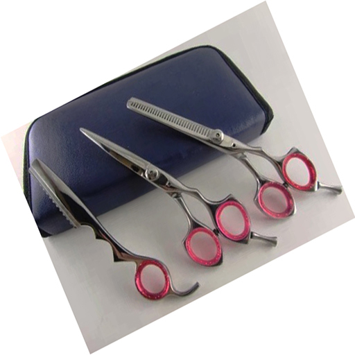 Professional 6-Inch Barber Scissors Thinning Cutting Sharp Tip Custom Logo Stainless 