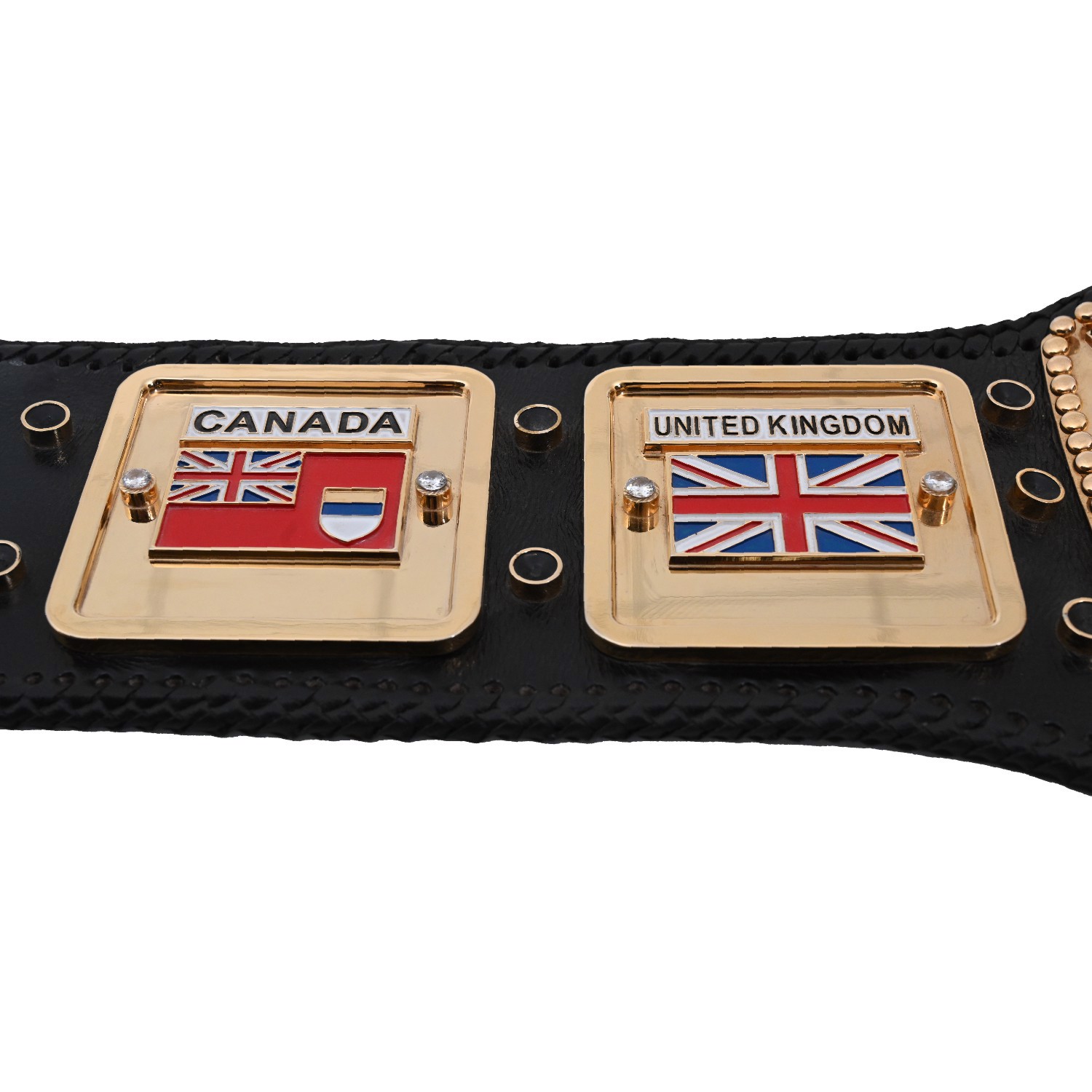 Domed Globe Championship  Belt Multi Color Stones Wrestling Belt - view 3