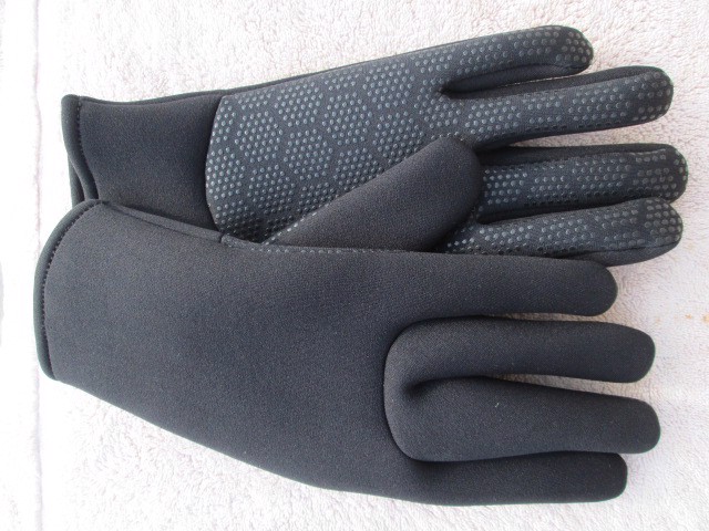 Gloves