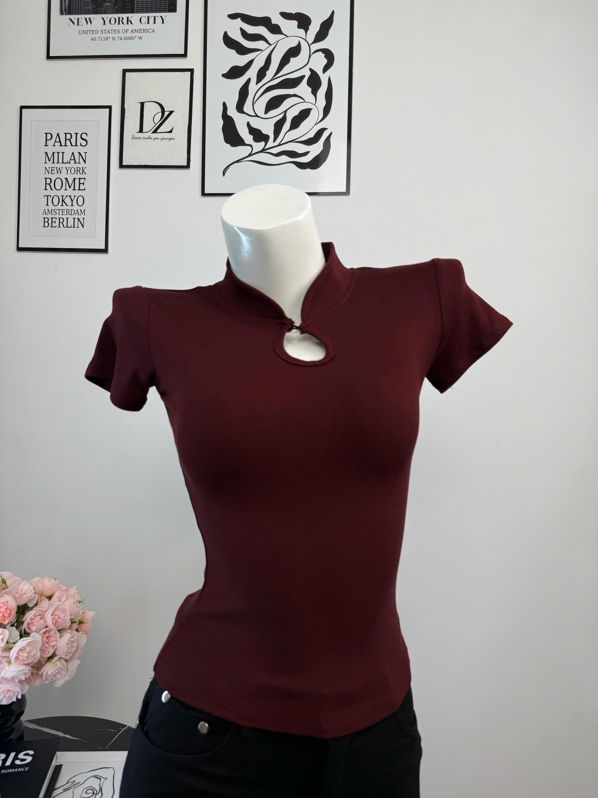 Burgundy Short Sleeve Top