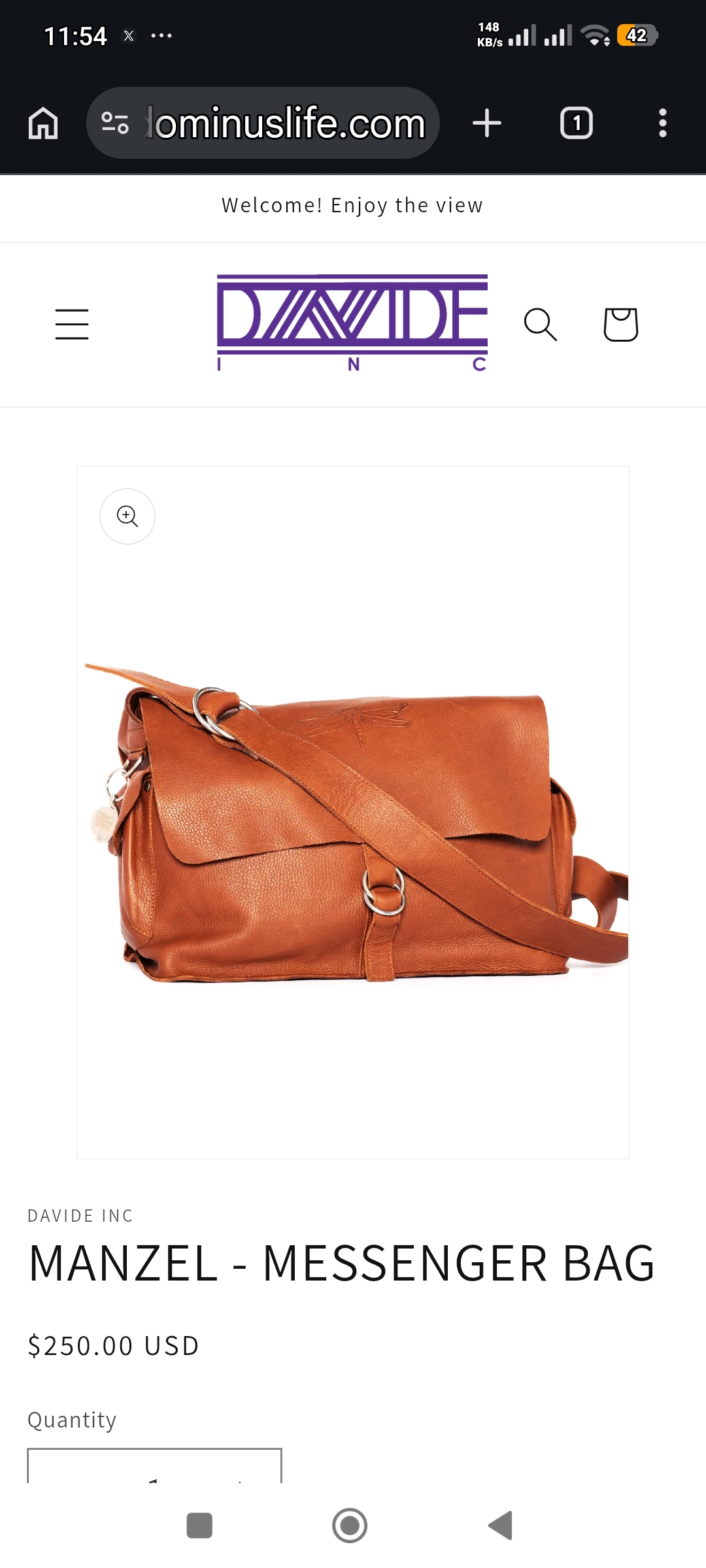 Manzel Messenger Bag