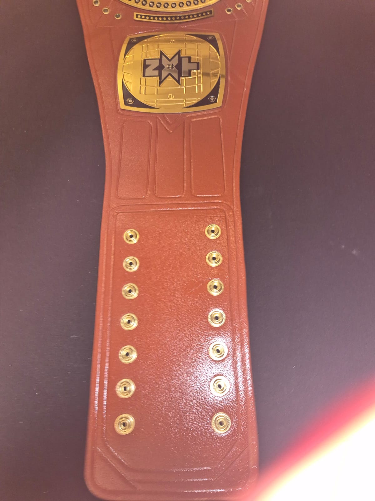 Championship Wrestling Belt - view 2