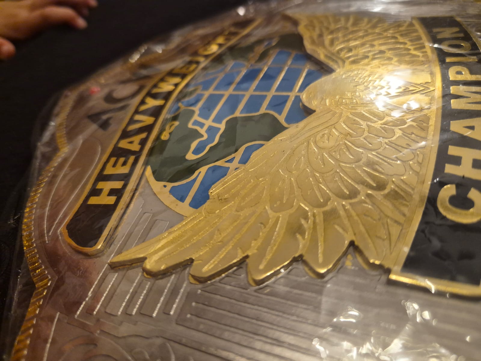 Customized Championship Belt - view 2