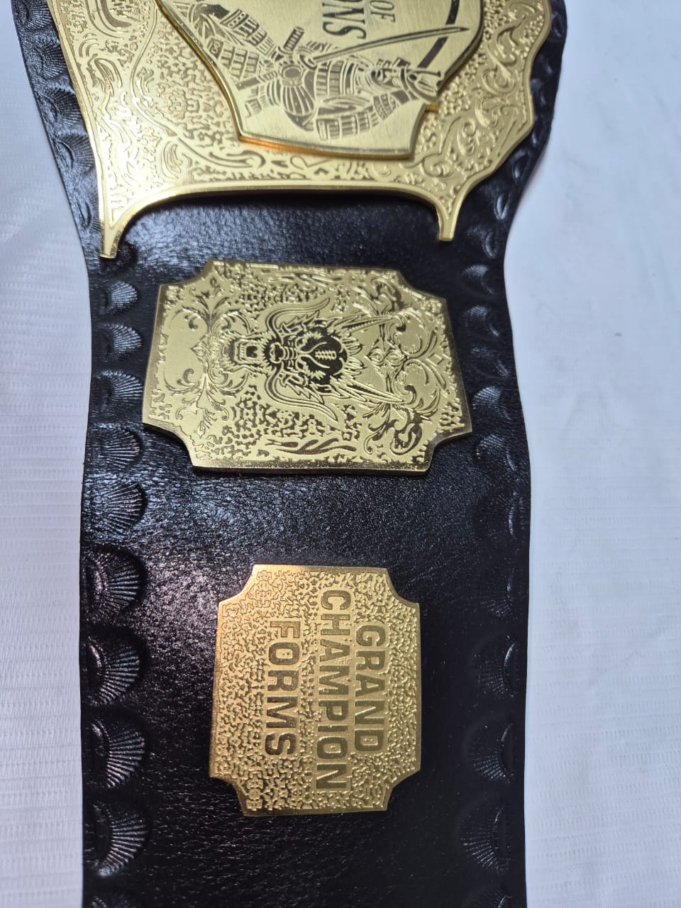 Championship Wrestling Belt