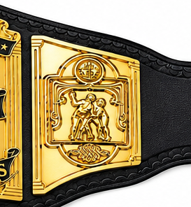 6 MM ZINC, CNC engraved Six Man Tag team Customized - view 2