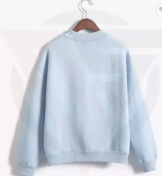 Brand New Made in Pakistan Sweat Shirt Woman Custom Different Style Long Sleeve Outstanding Quality  - view 2