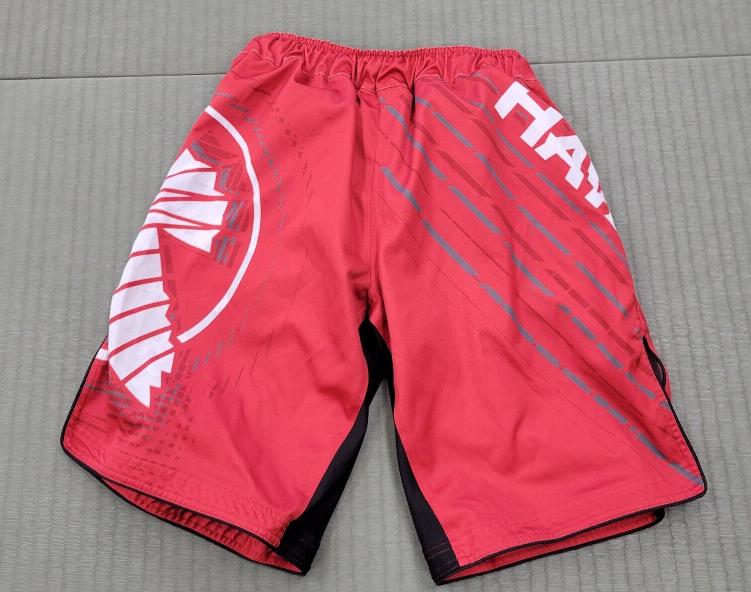 MMA SHORTS, RUNNING SHORTS, SUMMER SHORTS - view 4