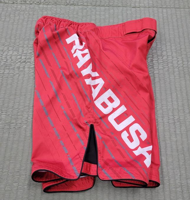 MMA SHORTS, RUNNING SHORTS, SUMMER SHORTS - view 5