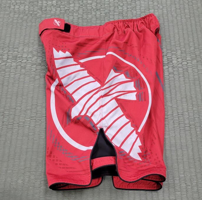 MMA SHORTS, RUNNING SHORTS, SUMMER SHORTS - view 7