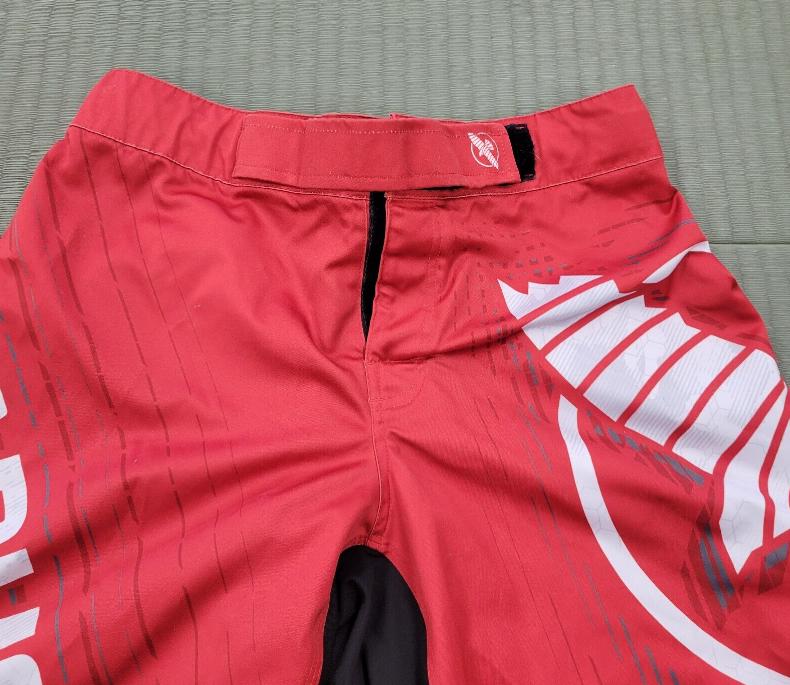 MMA SHORTS, RUNNING SHORTS, SUMMER SHORTS - view 10