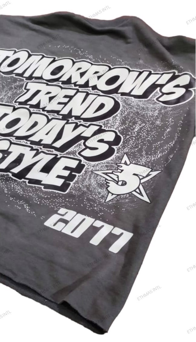 Customized French Terry Fabric DTF Print Oversize Crop Tshirt Drop Shoulder Tshirt - view 11