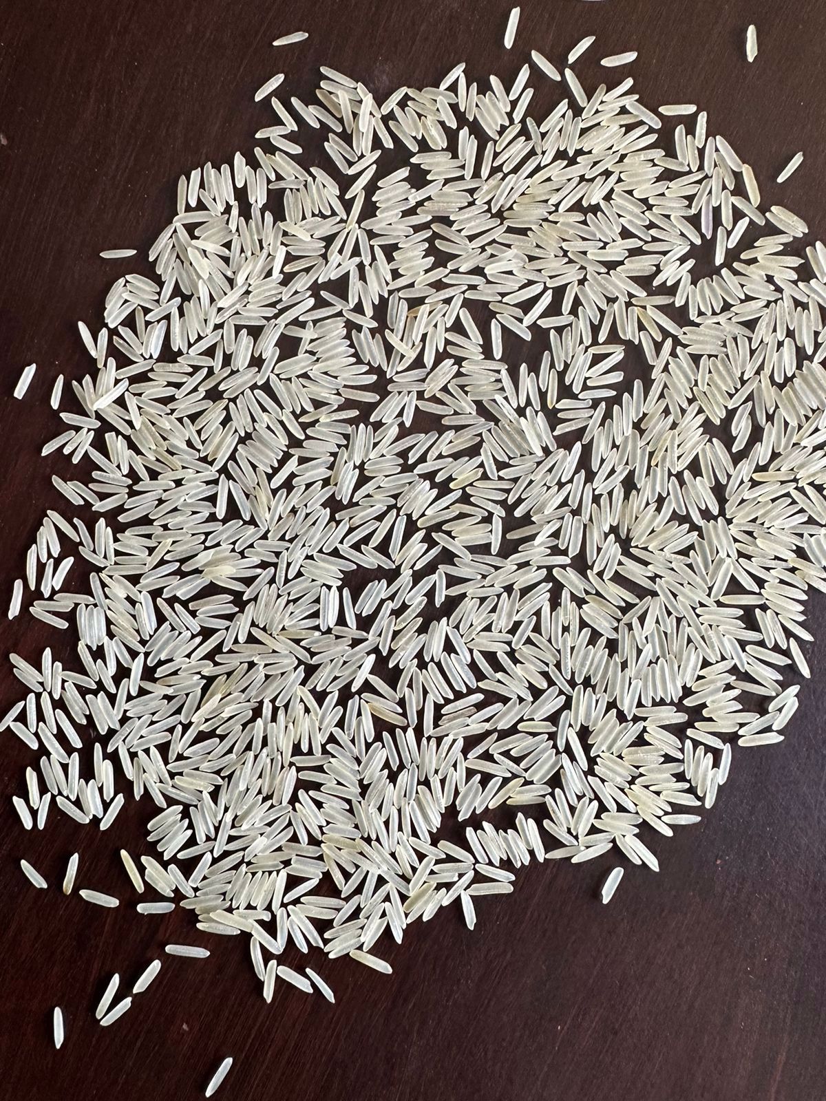 1121 Sella Rice 