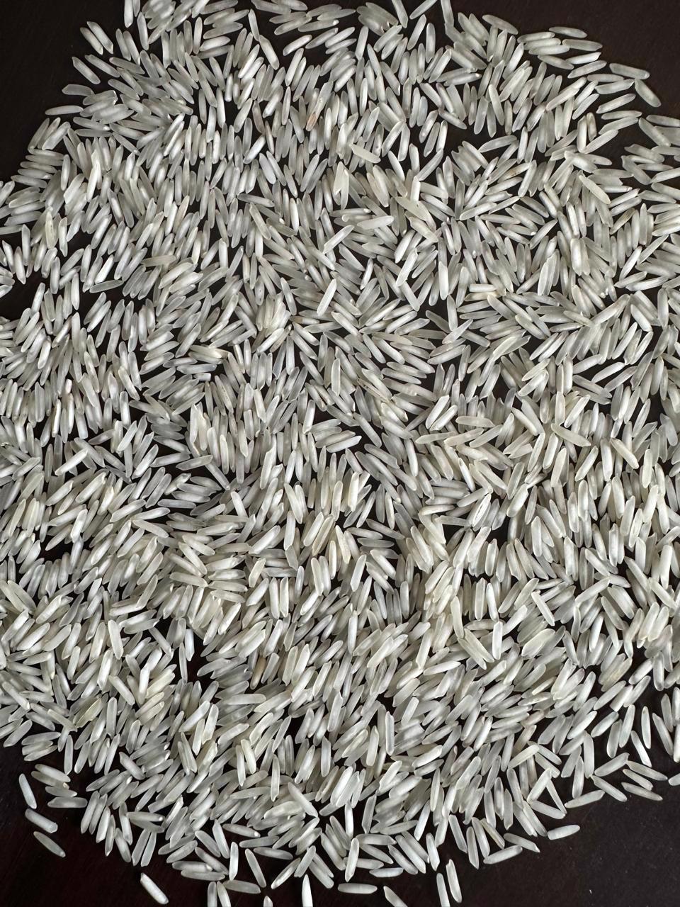 1121 Sella Rice  - view 2