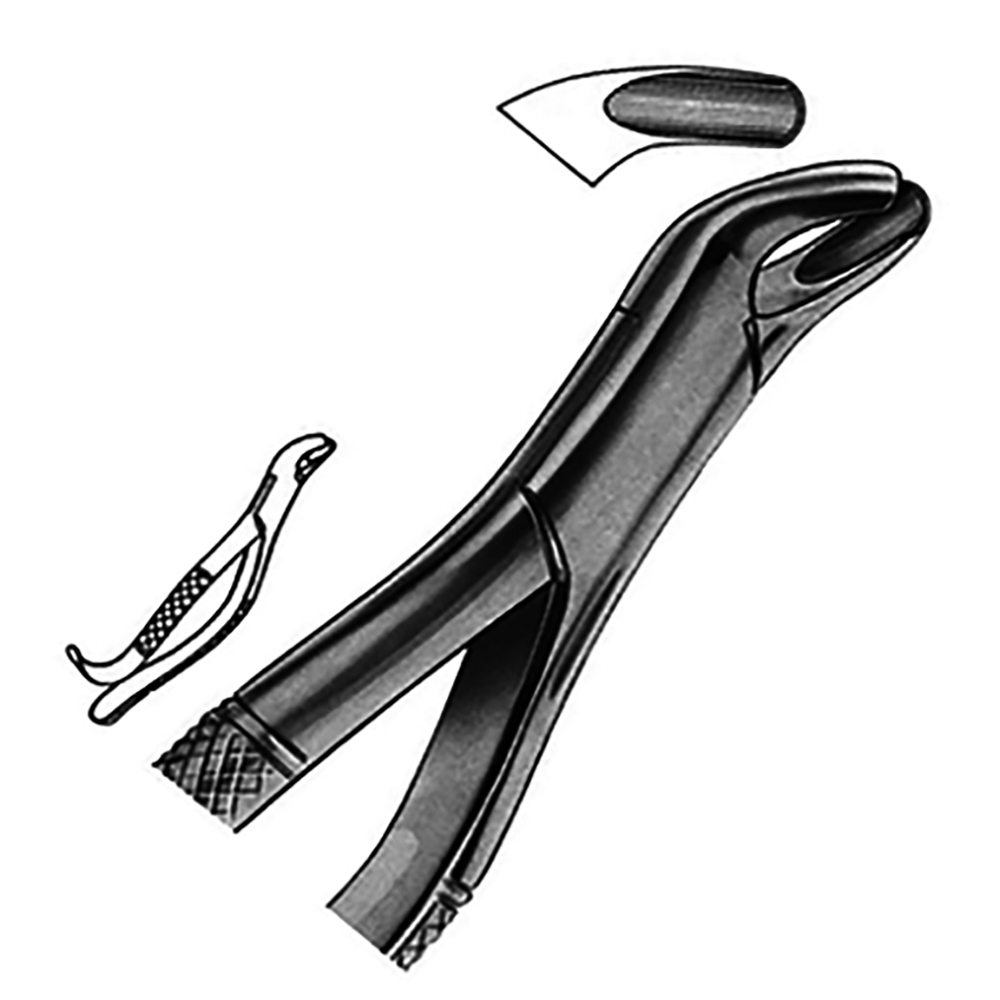 Dental Surgery Extracting Forceps Kit Stainless Steel Dental Veterinary instruments Veterans Pliers 