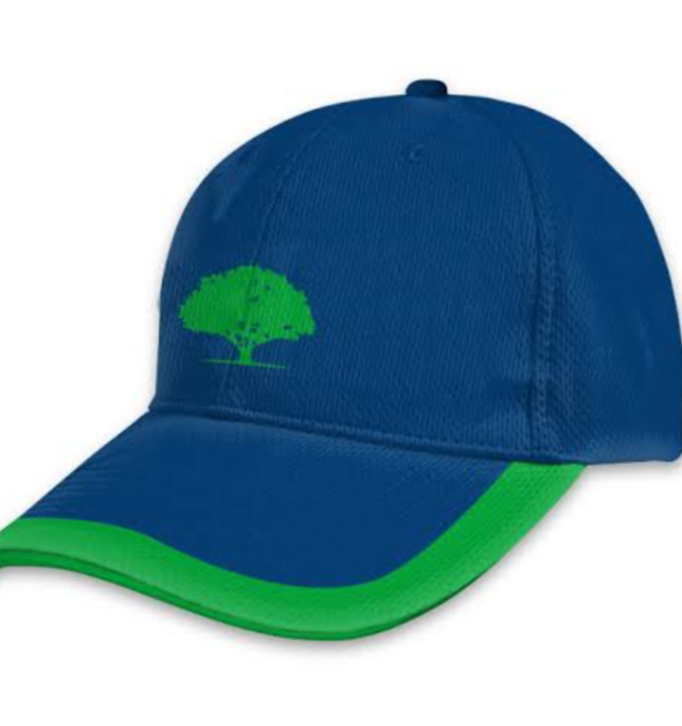 Customised Sports Team Cap