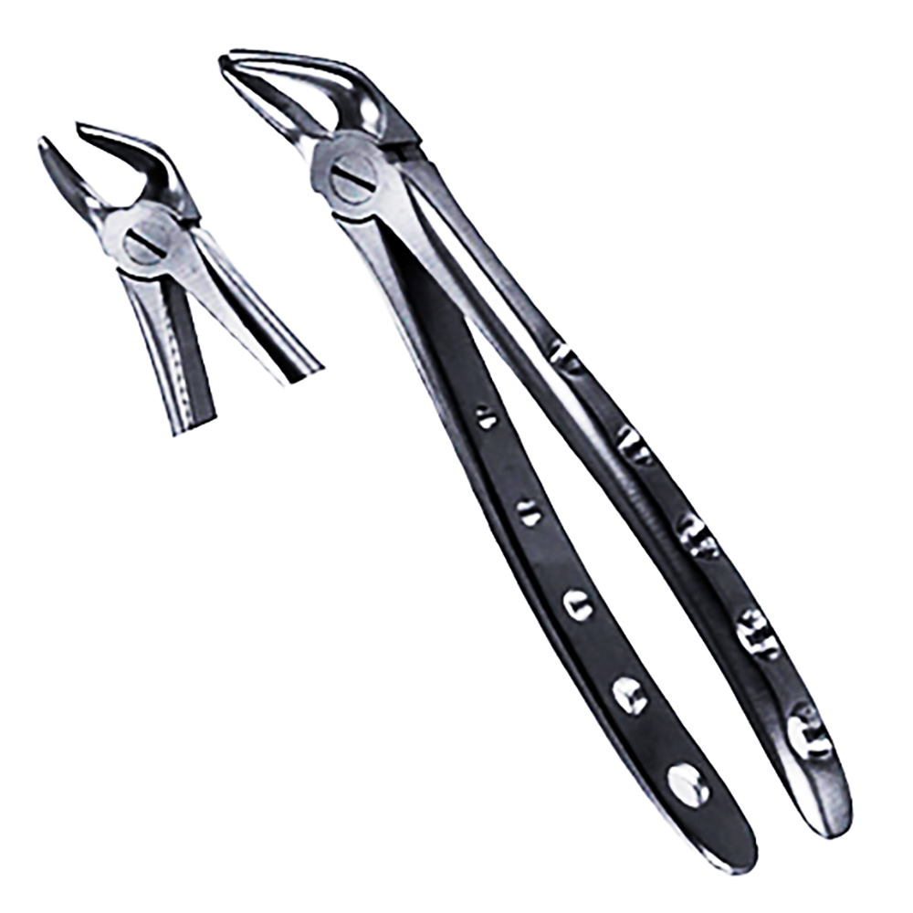 Stainless Steel Dental Instrument Set Veterinary Dental Orthodontic Kit Veterinary Dental Clinic 