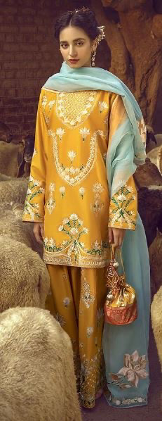 Ladies Festive Wear - view 3