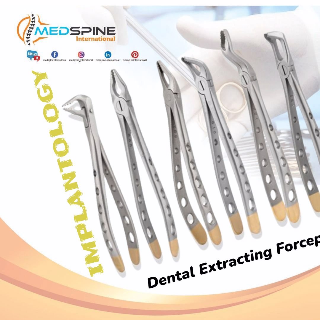  High Quality Dental Extraction Forceps 6 pair Set In Affordable Price