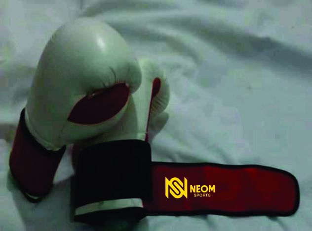 Boxing Gloves