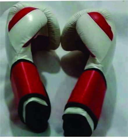 Boxing Gloves - view 2