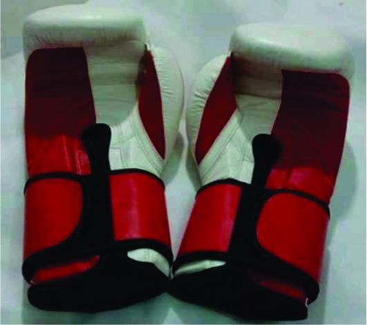 Boxing Gloves - view 3