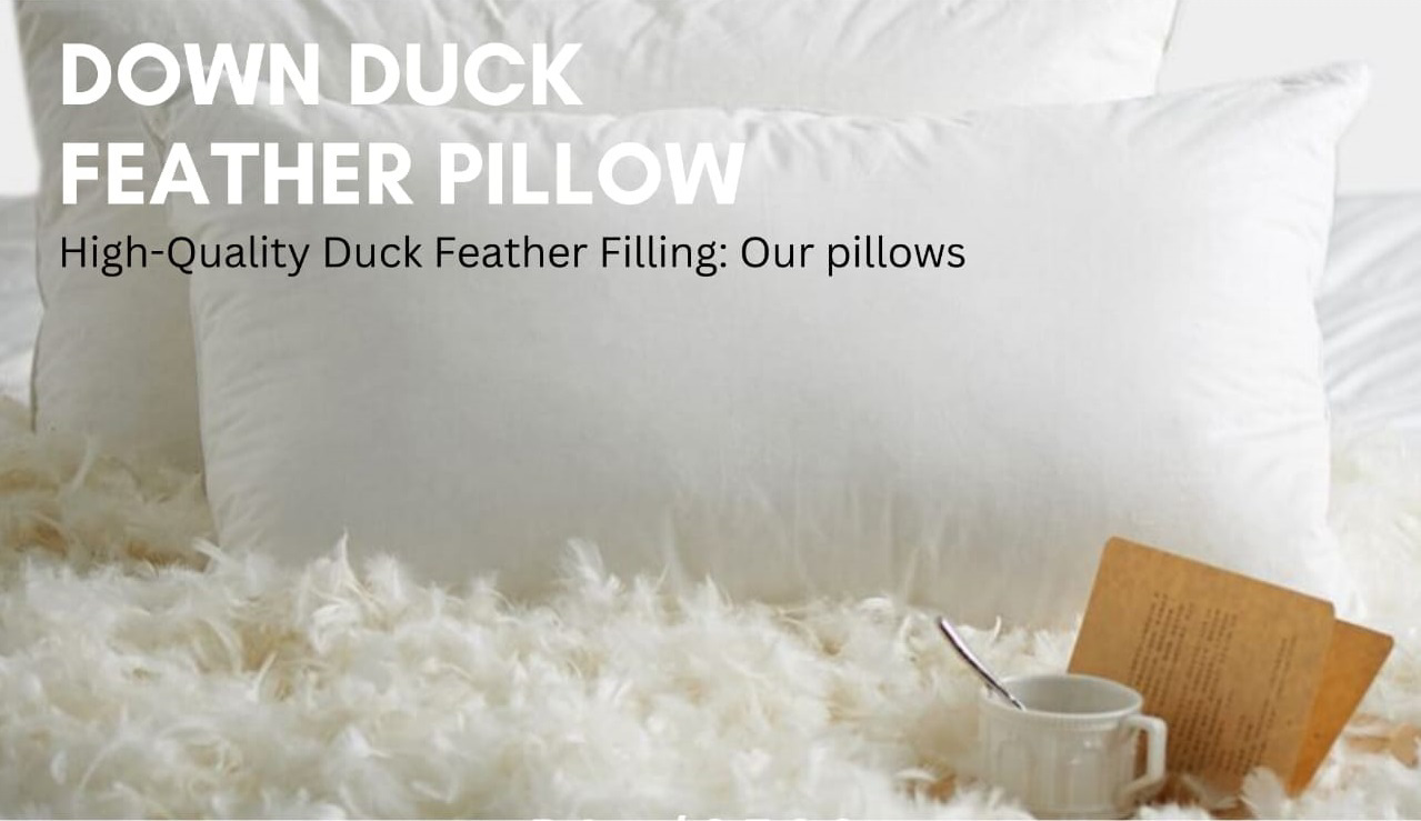 Duck Feather Pillow