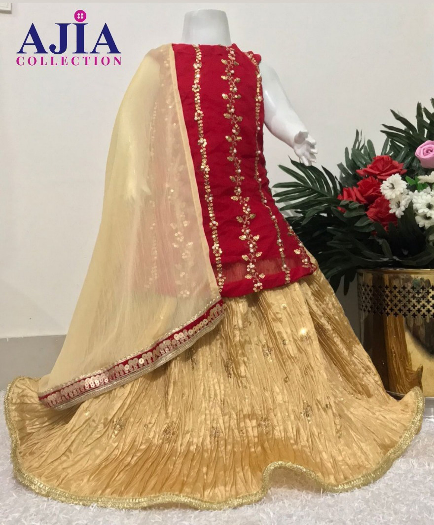 Timeless Beauty: Red and Gold Traditional Lehenga Choli Set In Crush Silk 