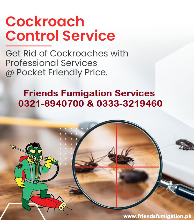 Fumigation Services for Cockroaches 0333-3219460
