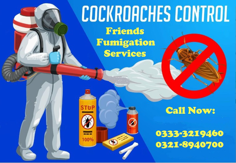 Fumigation Services for Cockroaches 0333-3219460 - view 2