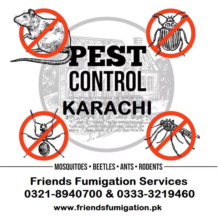 Fumigation Services for Cockroaches 0333-3219460 - view 4