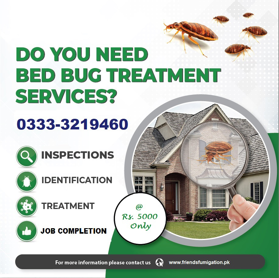 Fumigation Services for Cockroaches 0333-3219460 - view 7