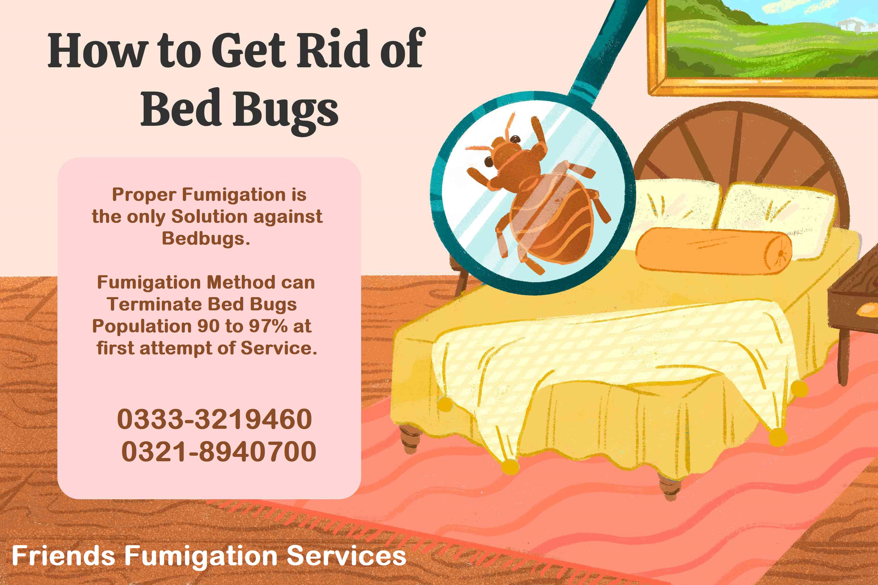 Fumigation Services for Cockroaches 0333-3219460 - view 9