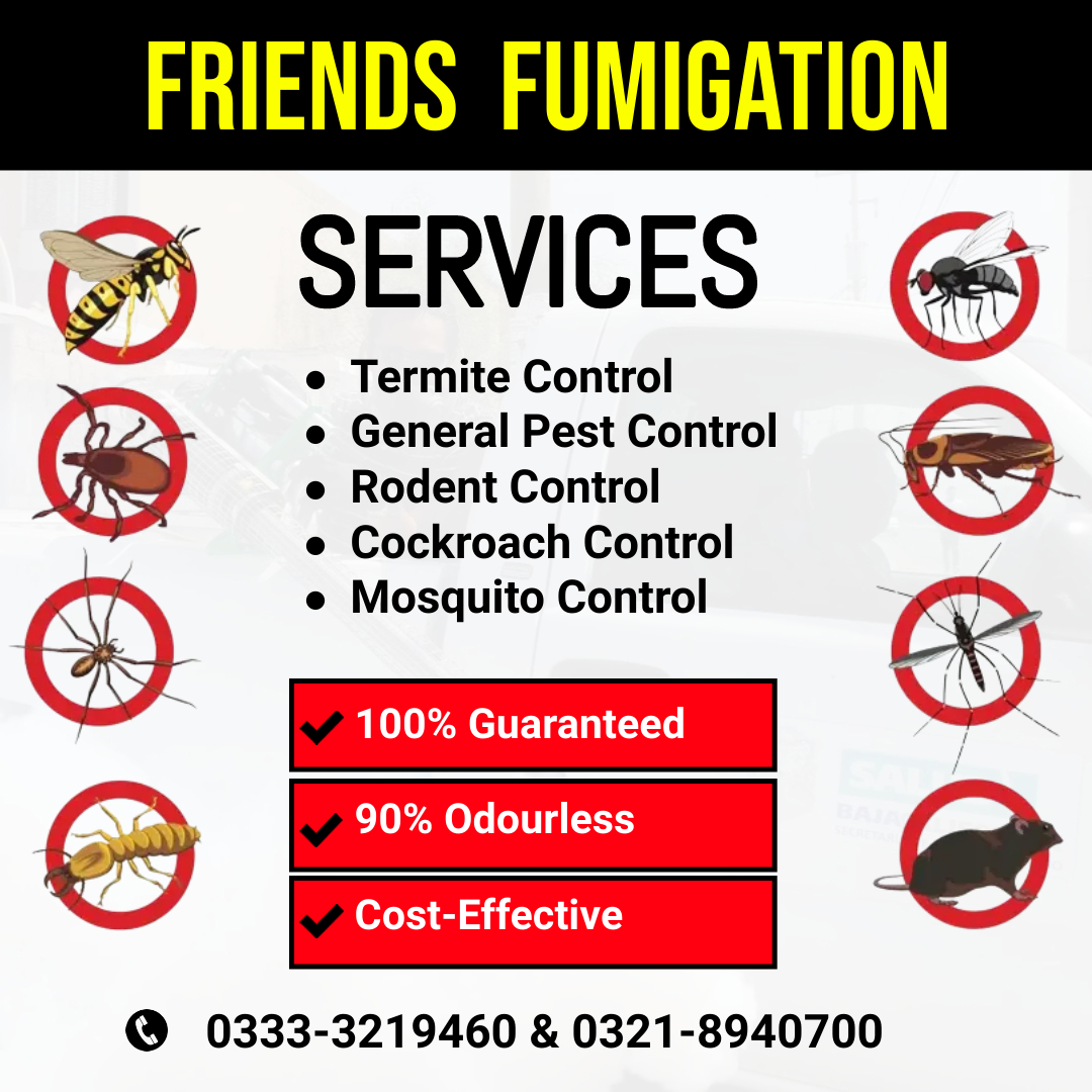 Fumigation Services for Cockroaches 0333-3219460 - view 10