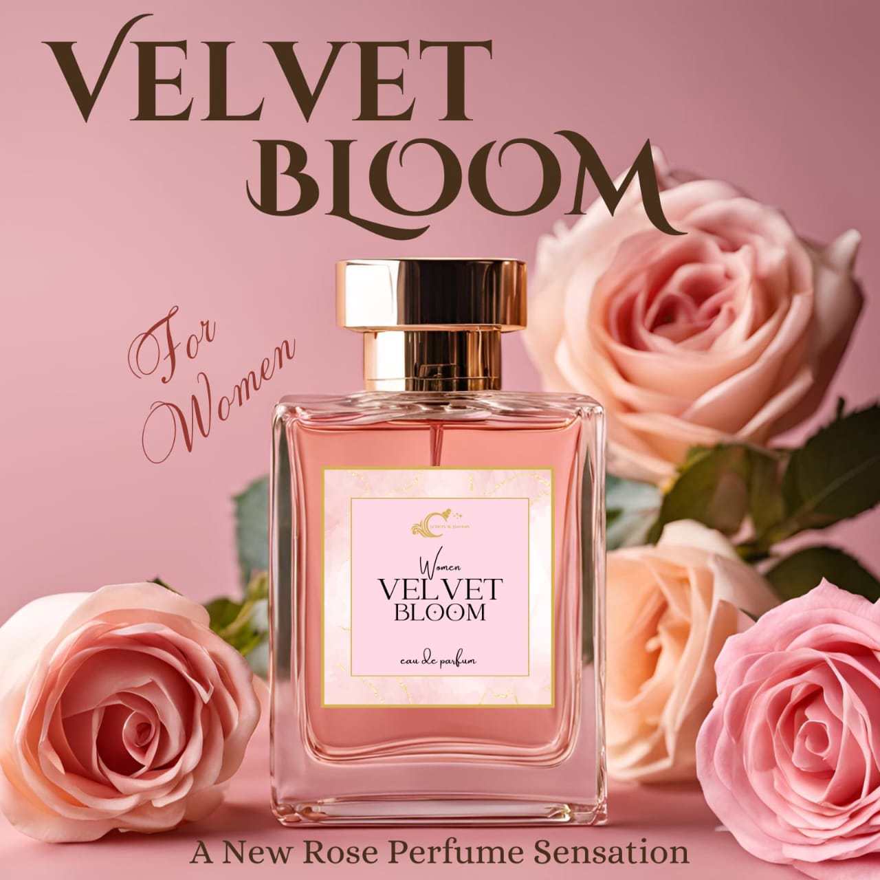 Velvet Bloom