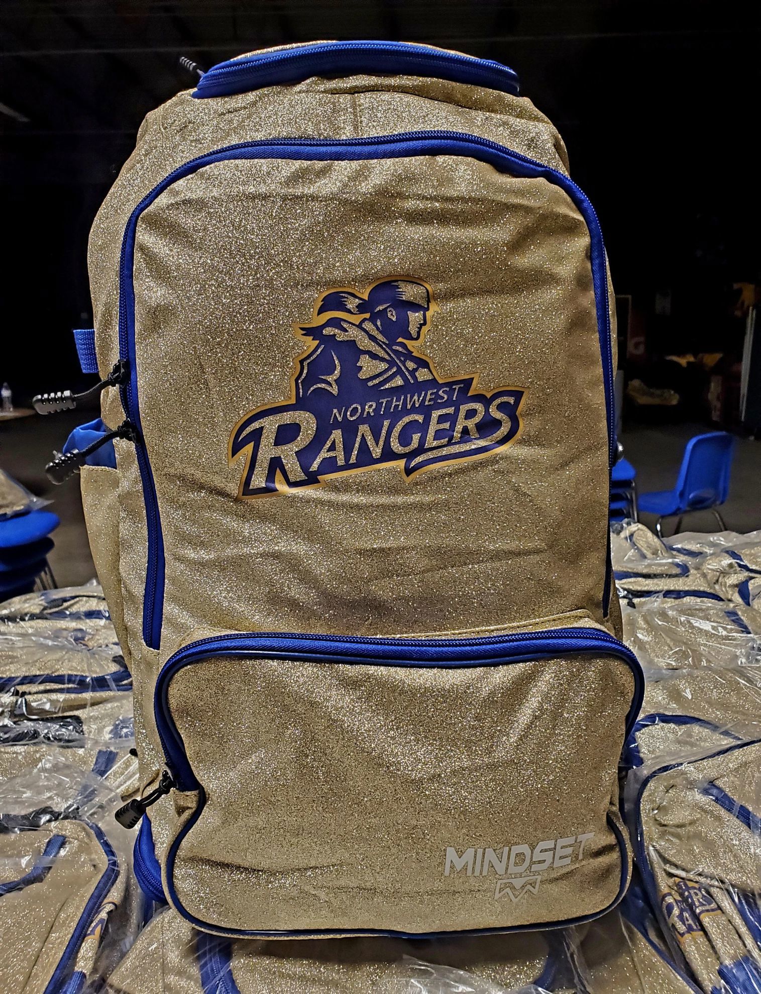 CHEERLEADING BAG/CUSTOMIZED BACKPACK
