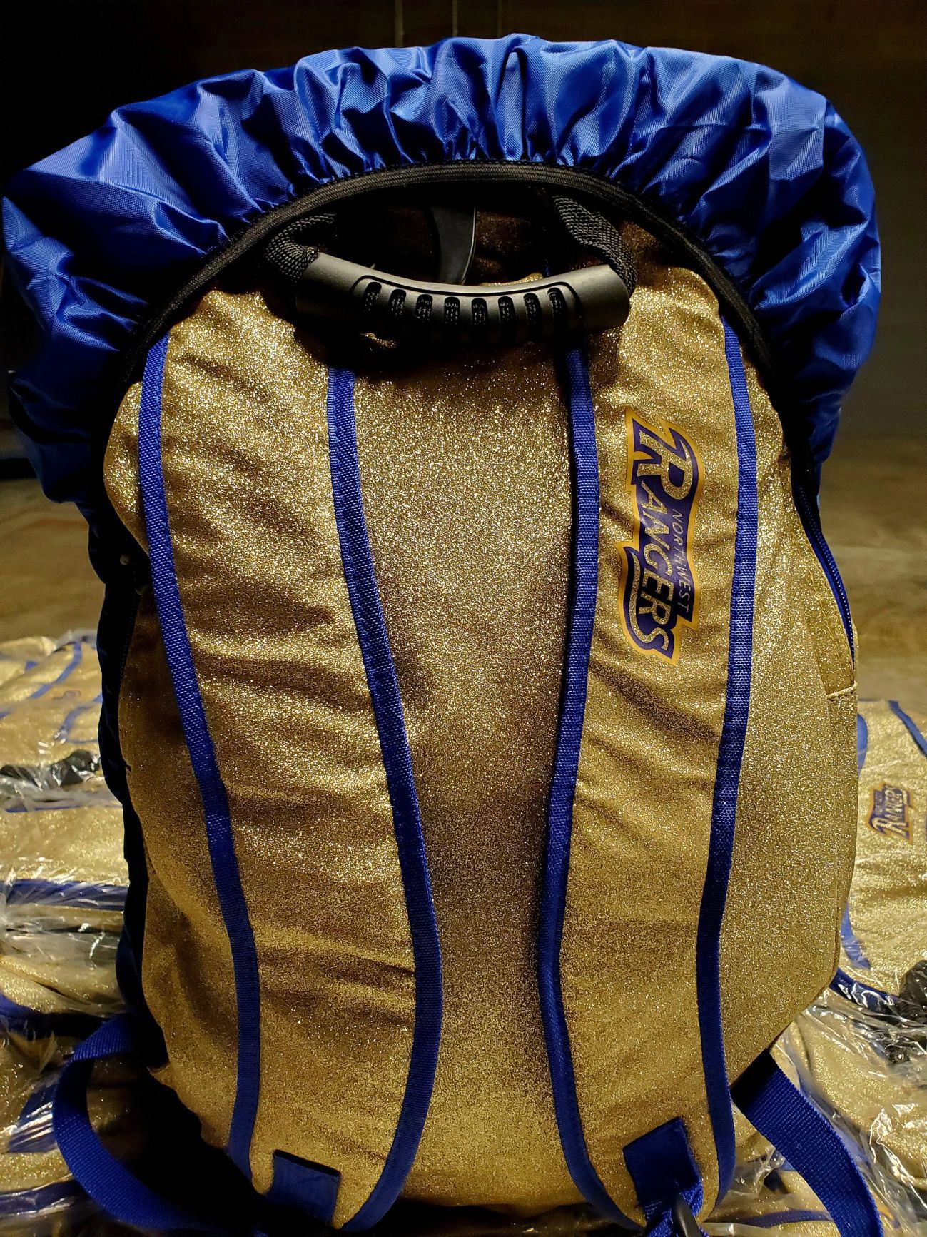 CHEERLEADING BAG/CUSTOMIZED BACKPACK - view 2