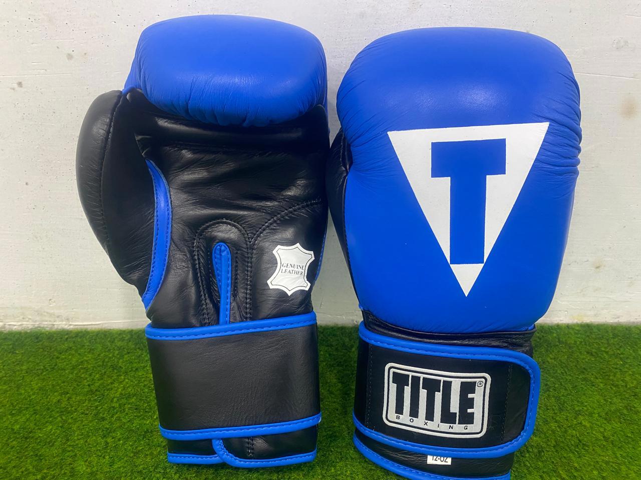 Title Boxing Gloves | High-Quality Leather MMA & Boxing Gloves | Wholesale & Private Label - view 6