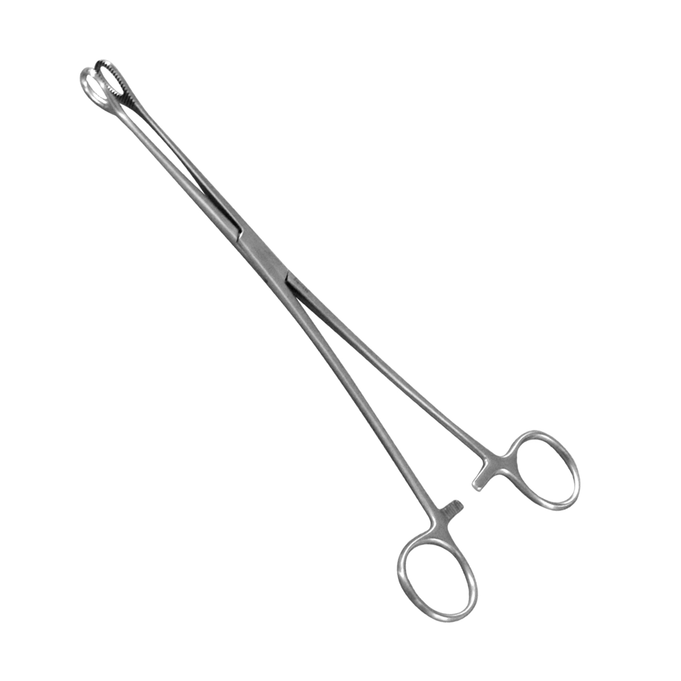 Professional Stainless Steel Made Sponge Holding Forceps Wholesale Price Hot Selling 2022 - view 2