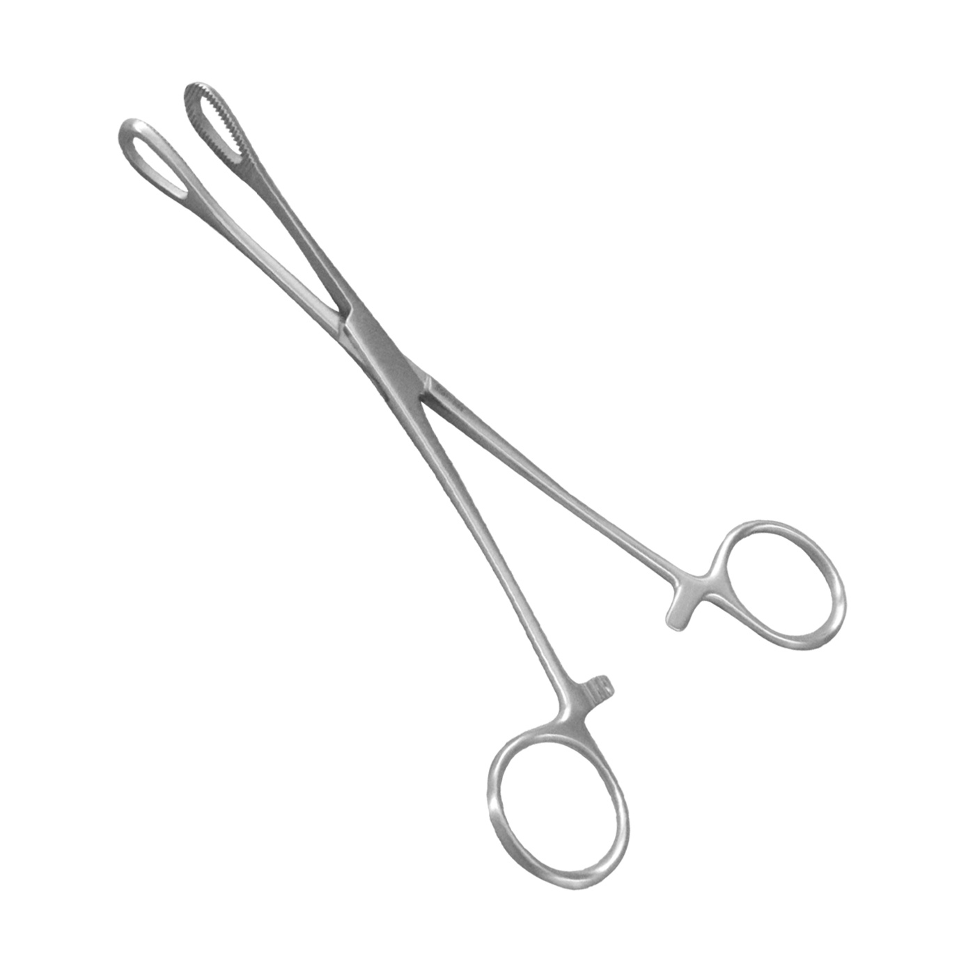 Professional Stainless Steel Made Sponge Holding Forceps Wholesale Price Hot Selling 2022 - view 3