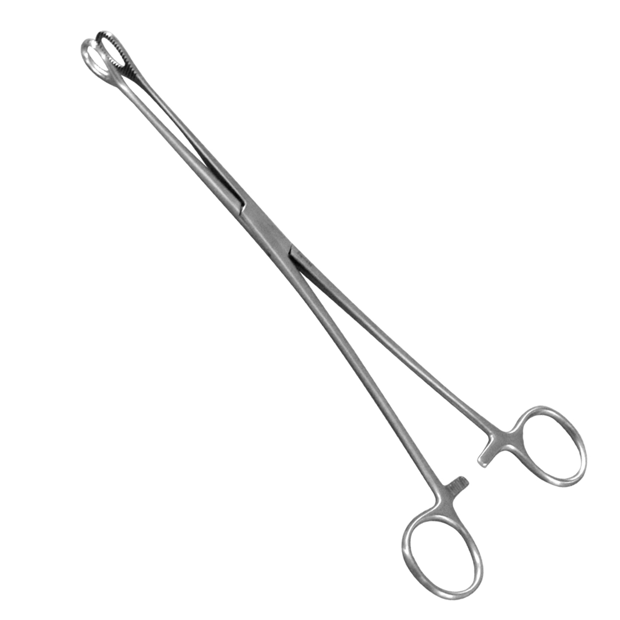 Stainless Steel Sponge Holding Forceps with Lock Surgical Instruments 100% Customization