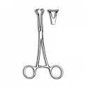 BABCOCK FORCEPS - view 2