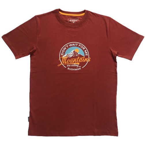 Mens Short Sleeve Printed Tee Shirt Customized