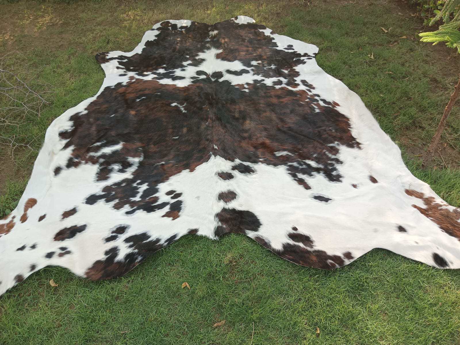 Brazilian Brown Tiger Cowhide Rug Carpet - view 7