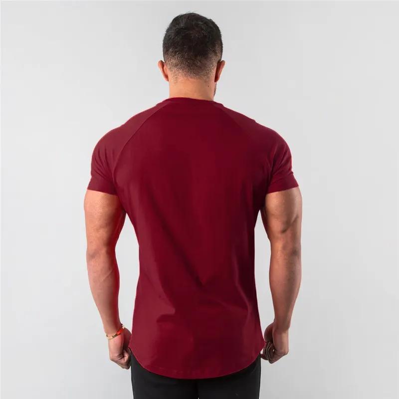Men High Quality Gym Wear T Shirts Quick Dry Breathable Men Active Wear T Shirts  - view 3